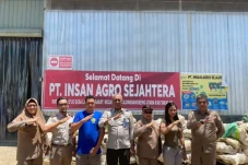 Porang Sulawesi Selatan...