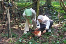 Sejarah! Bunga Rafflesia...