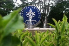 Peneliti IPB University...