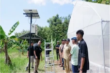 Penuhi Kebutuhan Sayur,...