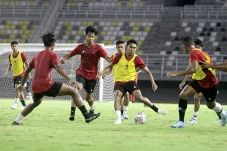 Poin dan Gol Timnas...