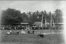 Rampogan Macan, Kisah...