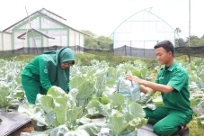 Alumni Polbangtan Diarahkan...