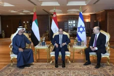 Negara-negara Arab Pendukung...