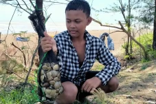 Serunya Berburu Kerang...