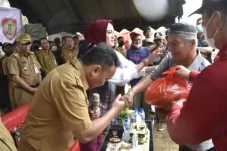 Ketahanan Pangan Daerah,...