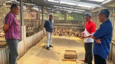 Tangkap Peluang Pasar,...