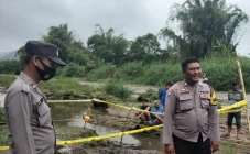 4 Tengkorak Manusia...