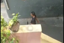Sambil Pamer Kemaluan,...