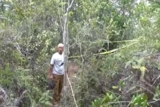 Kerangka Manusia di...