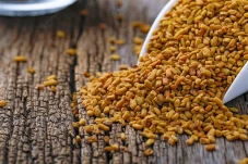 5 Tanaman Obat Keluarga...