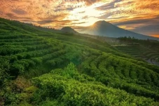 Liburan ke Dieng, Kunjungi...