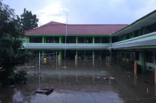 Dinas PPPA DKI Diminta...