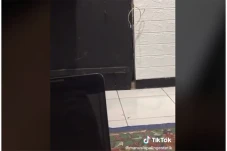 Viral! Video Rekaman...