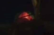Viral Sejoli Diduga...