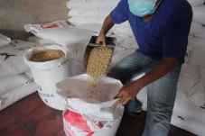 Harga Kedelai Masih...