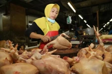 Hasil Pantauan Harga...