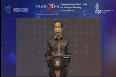 Buka Trade Expo Indonesia...