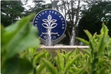 IPB University Berencana...