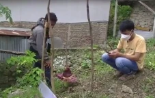 Heboh, Bunga Bangkai...