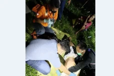 Geger, Pencari Rumput...