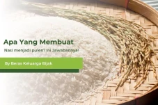 Bunda, Tahu Nggak Apa...