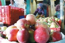 5 Buah yang Bisa Memicu...