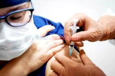 Soal Vaksin Meningitis,...