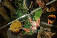Cegah Kepunahan, BKSDA...