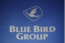 Blue Bird Pecat Sopir...