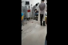 Pesta Miras Berujung...