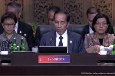 KTT G20 Bali, Jokowi:...