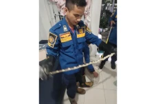 Ngeri! Damkar Bogor...