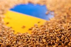 Dubes Ukraina Tuding...