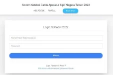 Begini Cara Cek Pengumuman...