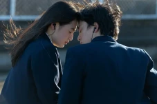 Sinopsis First Love,...