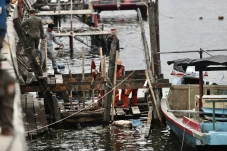 Jaga Tanggul Laut, Pemkot...