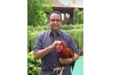 4 Hewan Peliharaan Anies...