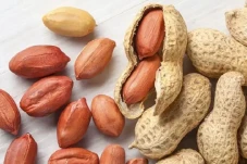 Apakah Kacang Tanah...