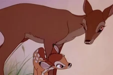 Animasi Bambi Bakal...