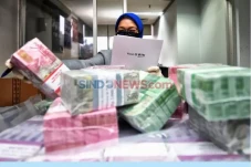 BTN Fokus Pengembangan...