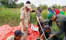 Stok Beras Dinilai Cukup,...