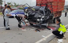 Mobil Pengangkut Ayam...
