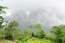 Dampak Erupsi Semeru,...