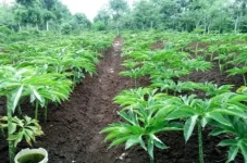 Sumbawa NTB Berpotensi...