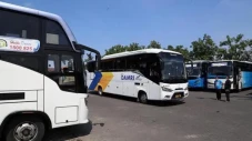 5 PO Bus dengan Armada...