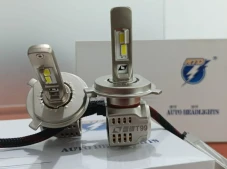 Rayton Indonesia Pasarkan...