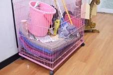 Penampakan Kandang Anjing...