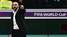 Walid Regragui Dukung...