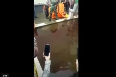 Perempuan Muda di Pangkep...